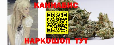 Альфа ПВП Краснознаменск