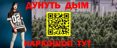 Альфа ПВП Краснознаменск